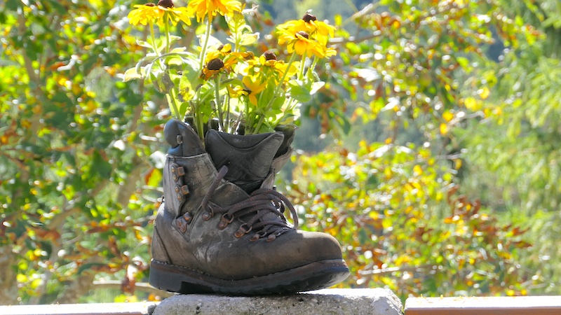 Impressionen 4 - alter Wanderschuh bepflanzt