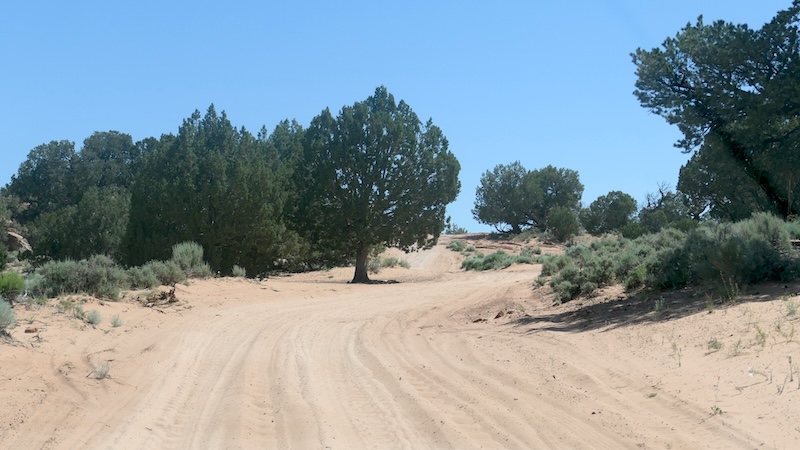 23.06.08 FZ White Pocket_P1451436