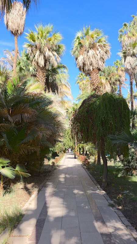 Botanischer Garten 02