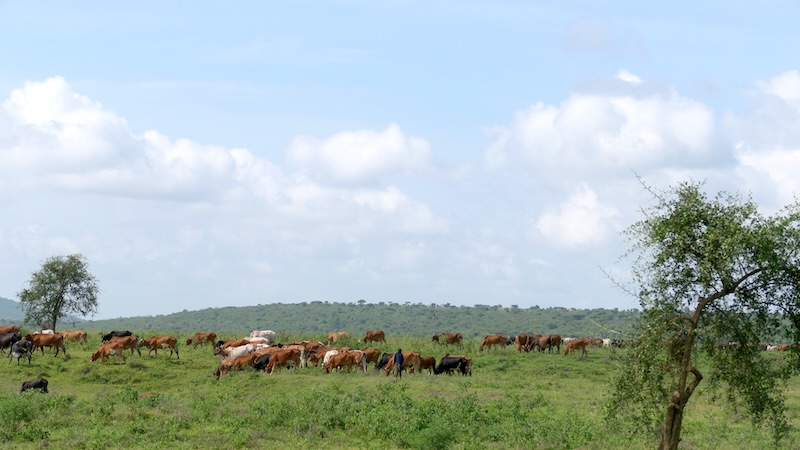 Tarangire_Streetlife 06
