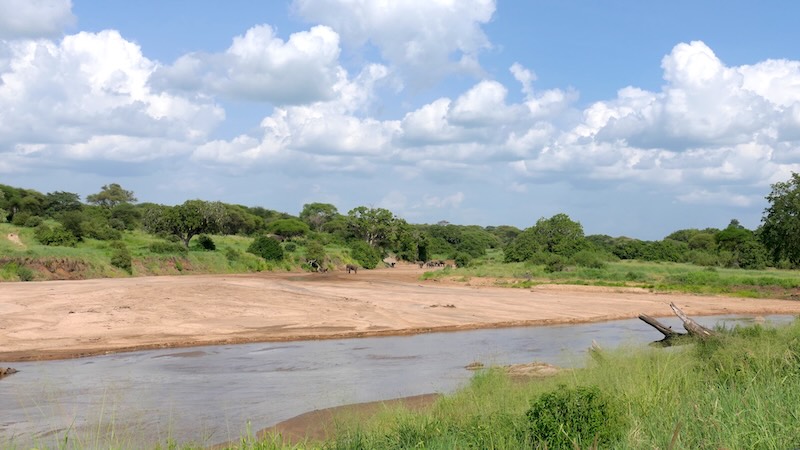 Tarangire-Fluss mit Elefantenherde im Hintergrund