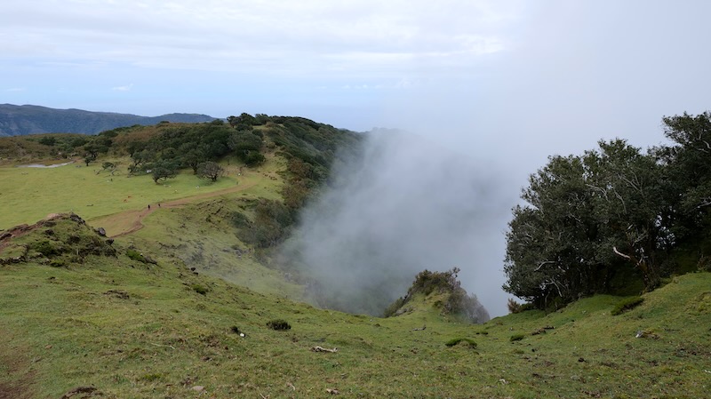 madeira-fanal-wald-nebel-zieht-auf Nebel zieht auf im Fanal-Wald von Madeira.