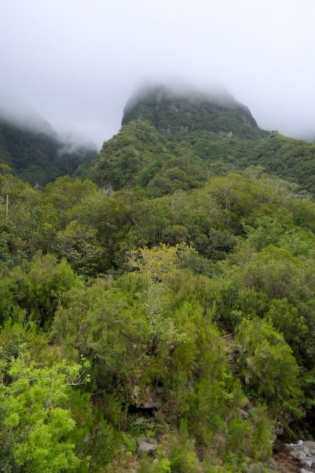 madeira-seixal-canyoning-gebiet-in-der-naehe-von-seixal In der Nähe von Seixal gibt es tolle Wandermöglichkeiten.