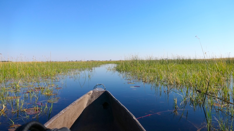 botswana-okavango-delta-mokoro-tour-aussicht-nach-vorn Eine Mokoro-Tour ist eine endschleunige Art der Fortbewegung, auf der man Zeit hat, den Ausblick in die Landschaft zu genießen.