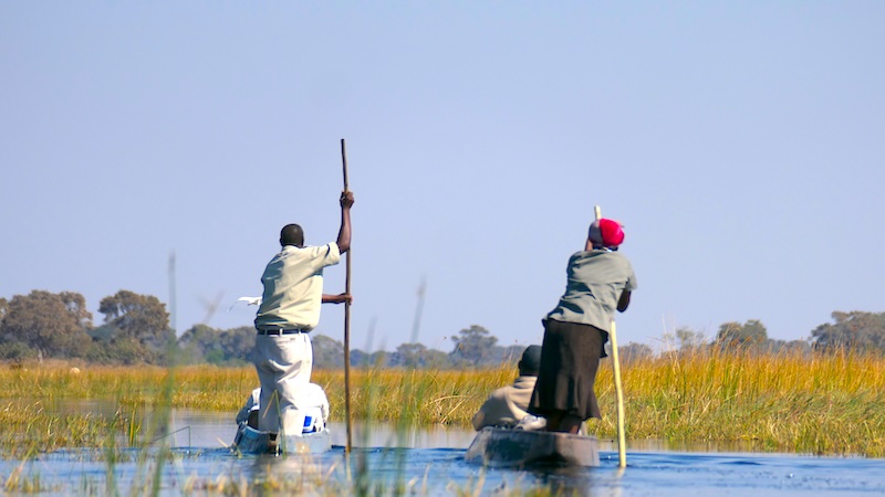 botswana-okavango-delta-mokoro-tour-zwei-andere-mokoros Ab und an sieht man auch einen anderes Mokoro auf einer gleichnamigen Tour. In diesem Fall sogar gleich zwei.