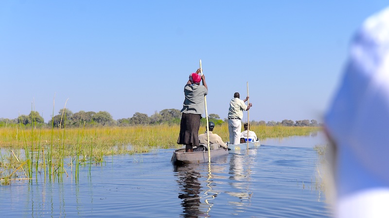 botswana-okavango-delta-mokoro-tour-zwei-mokoros Zwei Poler steuern ihre Mokoros durch das Okavango Delta.