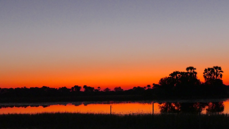 botswana-okavango-delta-thamalakane-lodge-sonnenuntergang-2 Sonnenuntergang an der Thamalakane River Lodge in Botswana.
