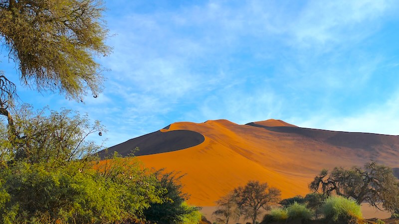 namibia-sossusvlei-big-mama-duene Im morgendlichen Licht sind die Dünen in der Namib besonders fotogen.