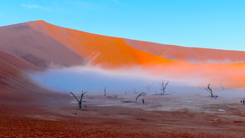 Im morgendlichen Licht sind die Dünen in der Namib besonders fotogen.