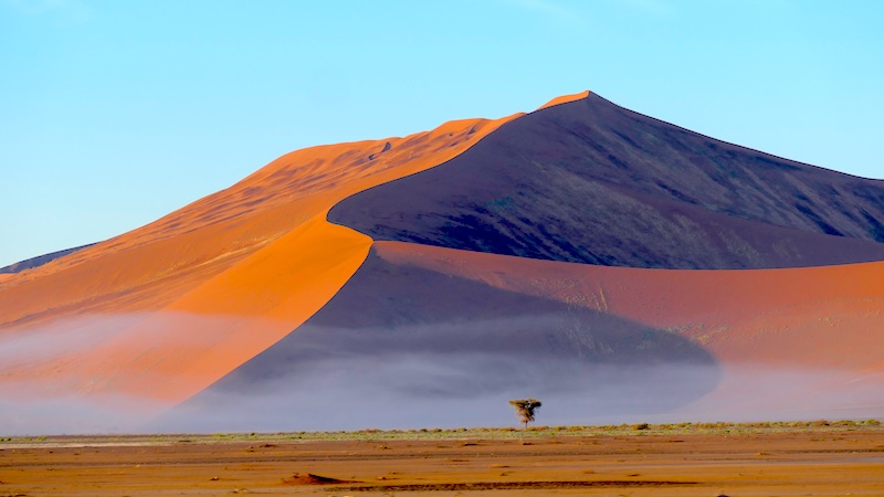 namibia-sossusvlei-nebel-vor-duene-xx Im morgendlichen Licht sind die Dünen in der Namib besonders fotogen.