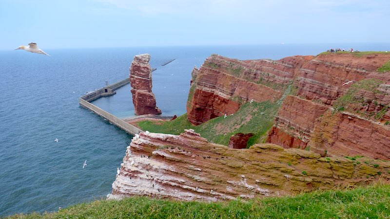 Die Lange Anna und weitere Felsen auf Helgoland. Vorne fliegt ein Basstölpel.