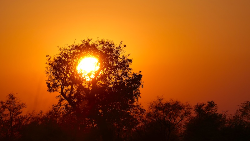 namibia-kwando-region-sonnenuntergang Sonnenuntergang in der Kwando-Region.
