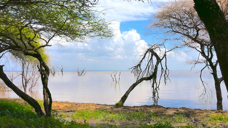 tansania-lake-manyara-seeblick Blick durch Bäume auf den Lake Manyara.